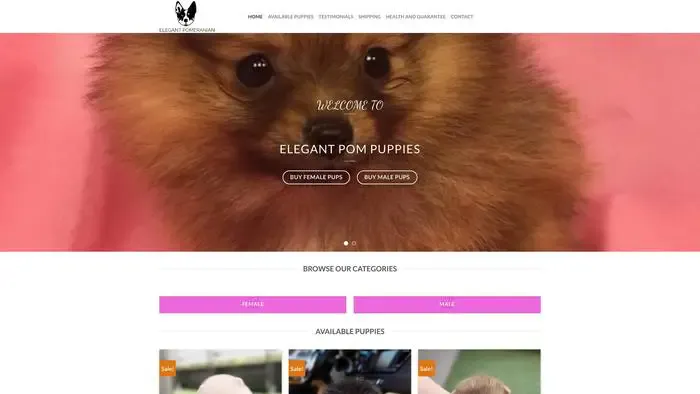 Screenshot of