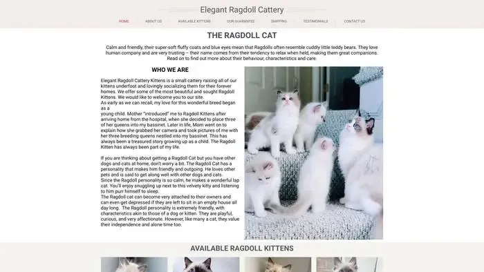 Screenshot of