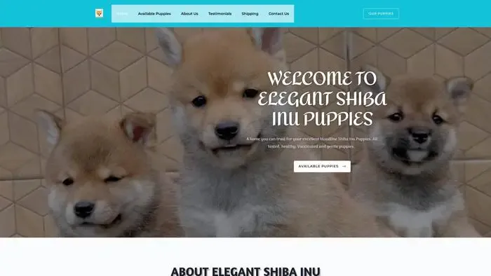 Screenshot of