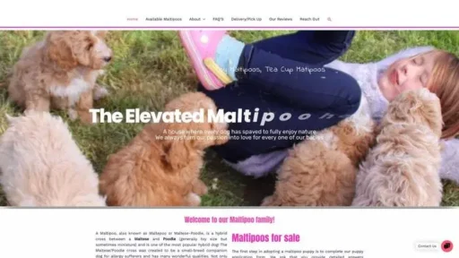 Screenshot of
