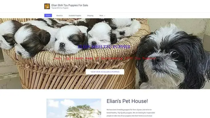 Screenshot of