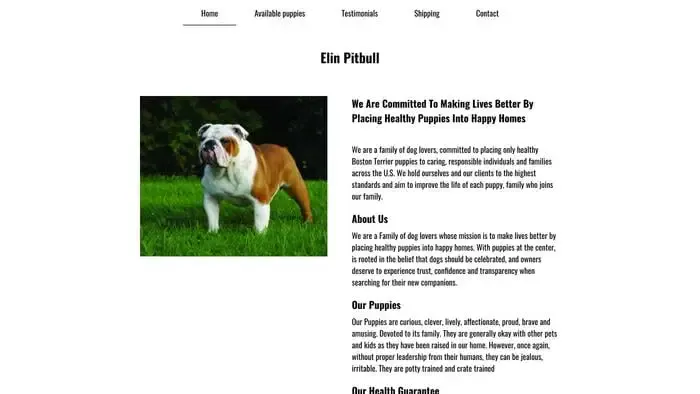 Screenshot of