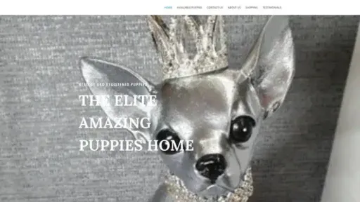 Screenshot of