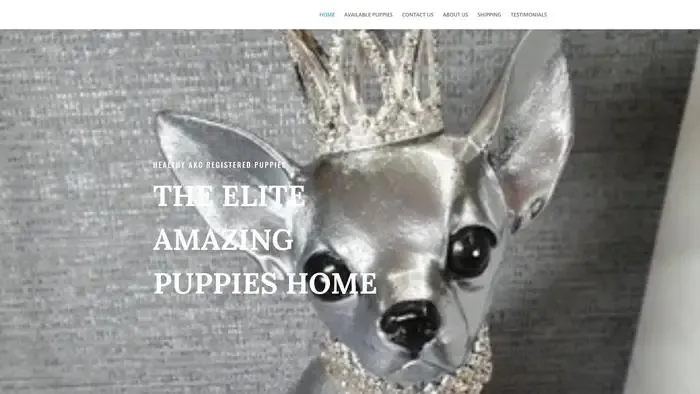 Screenshot of