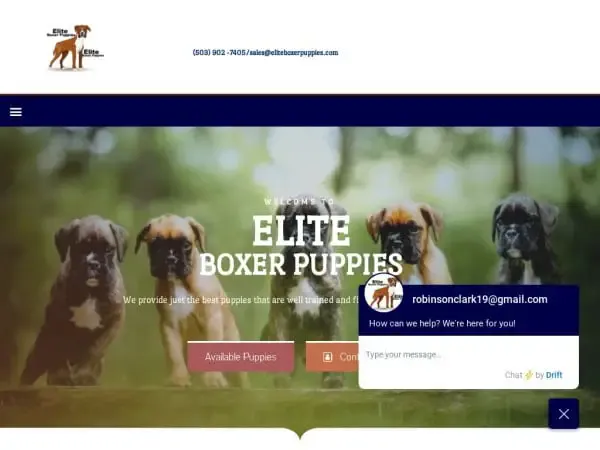 Screenshot of
