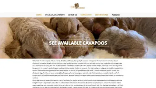 Screenshot of