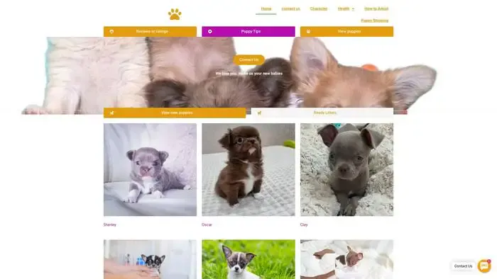 Screenshot of