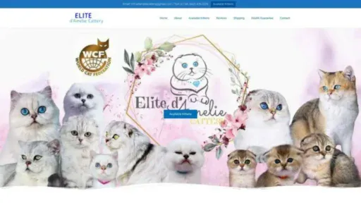Screenshot of||