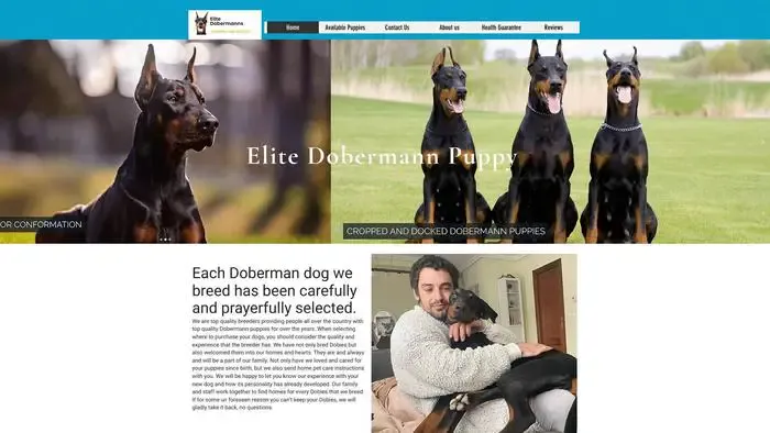 Screenshot of