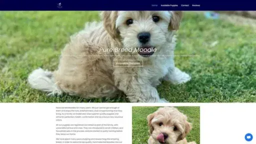 Screenshot of