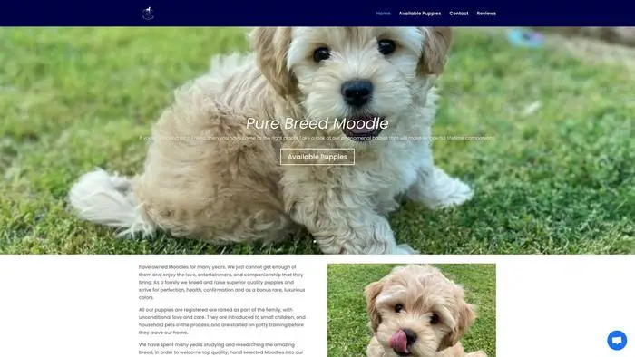 Screenshot of