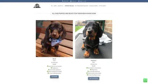 Screenshot of