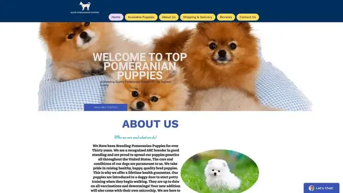 Screenshot of