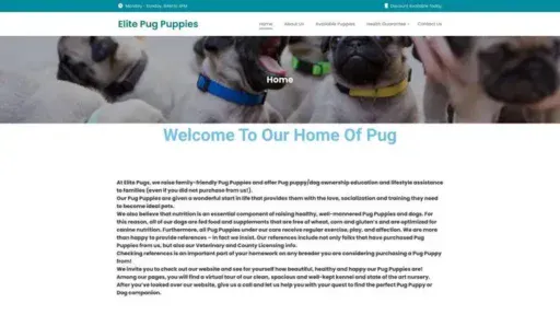 Screenshot of