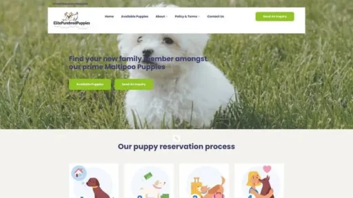 Screenshot of