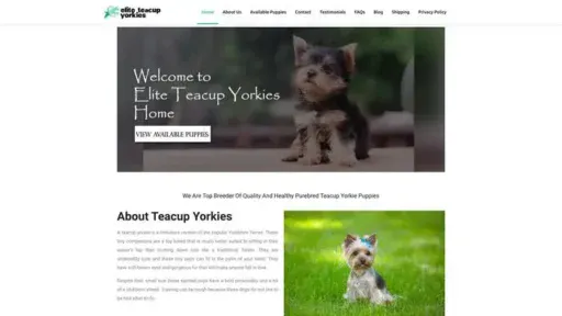 Screenshot of