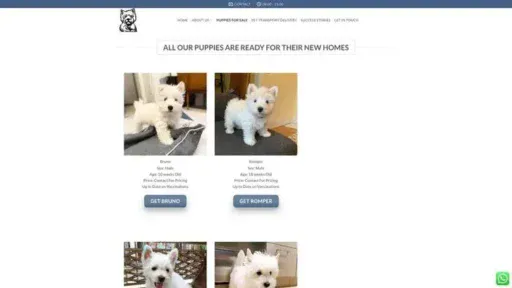Screenshot of