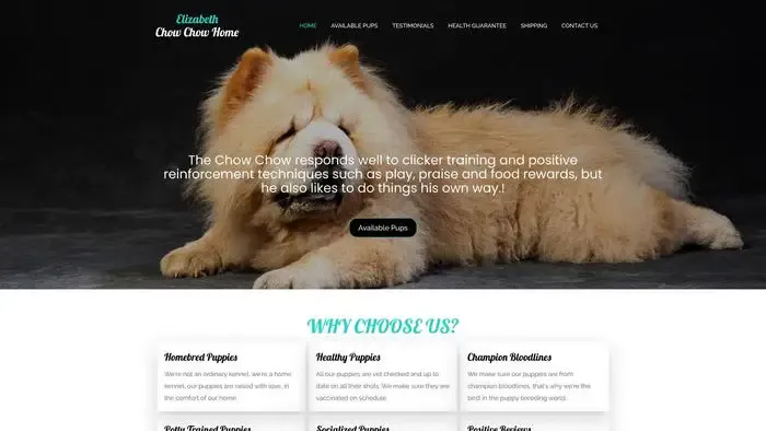 Screenshot of
