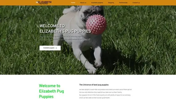 Screenshot of