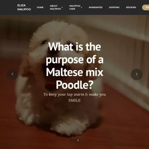 Screenshot of|