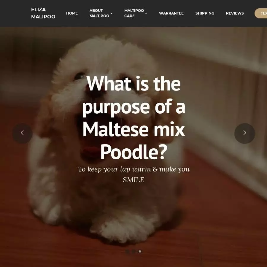 Screenshot of|