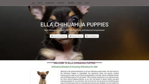 Screenshot of