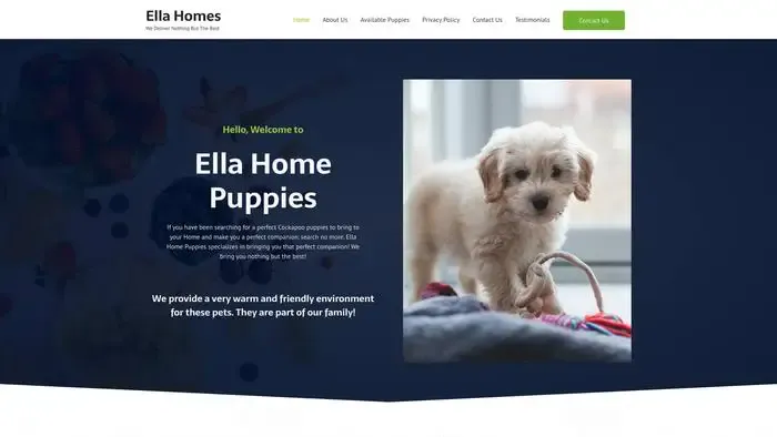 Screenshot of