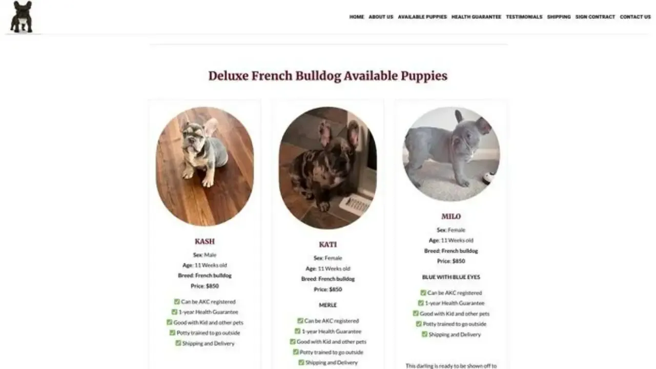 Ellapugpuppies