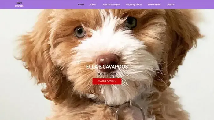 Screenshot of
