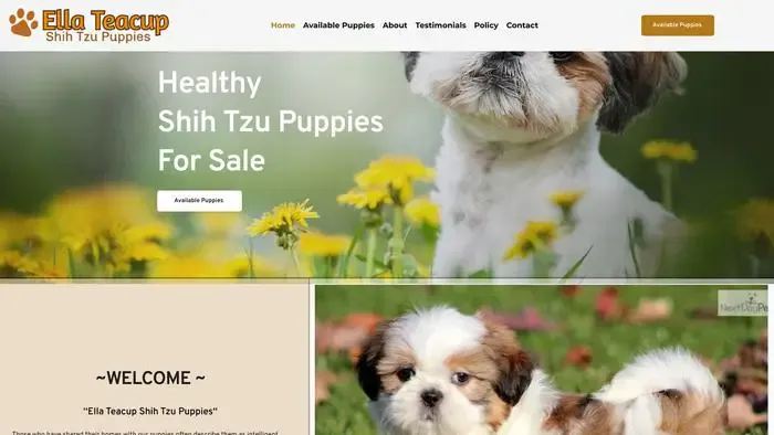 Screenshot of