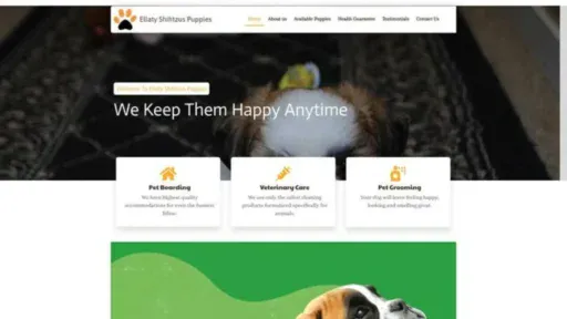 Screenshot of||