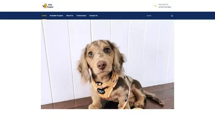 Screenshot of