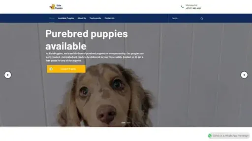 Screenshot of