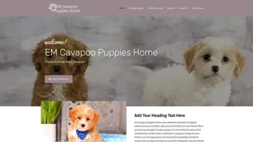 Screenshot of