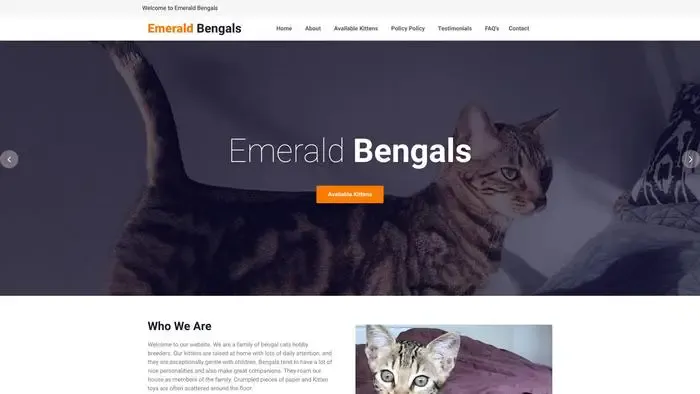 Screenshot of