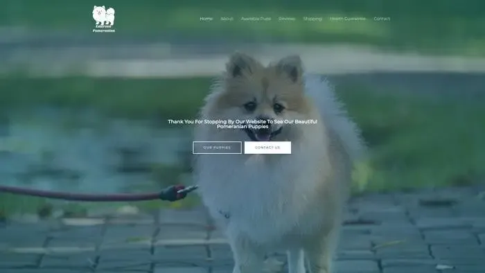 Screenshot of