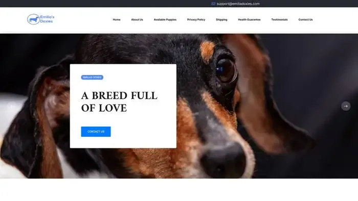 Screenshot of