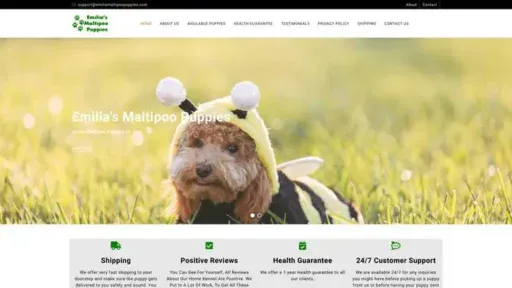 Screenshot of