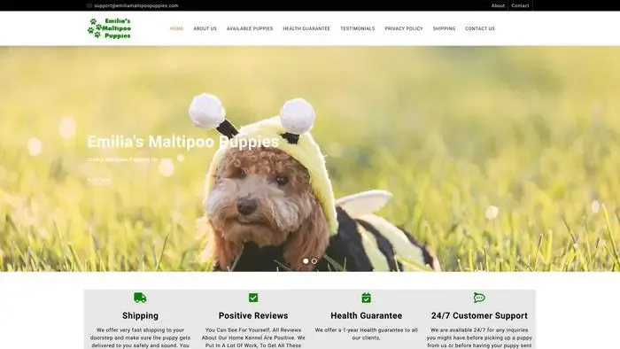 Screenshot of