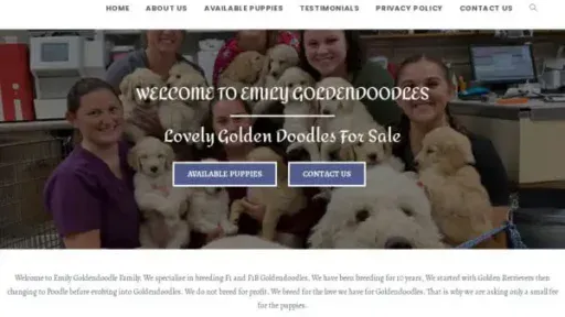 Screenshot of