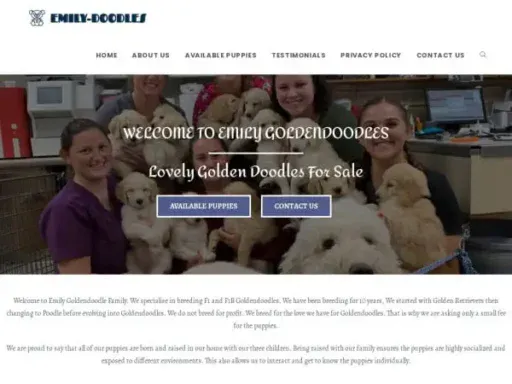 Screenshot of