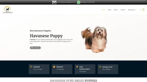 Screenshot of