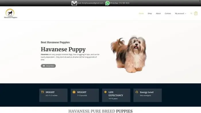 Screenshot of