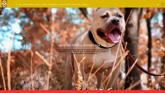 Screenshot of