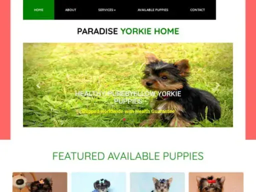 Screenshot of