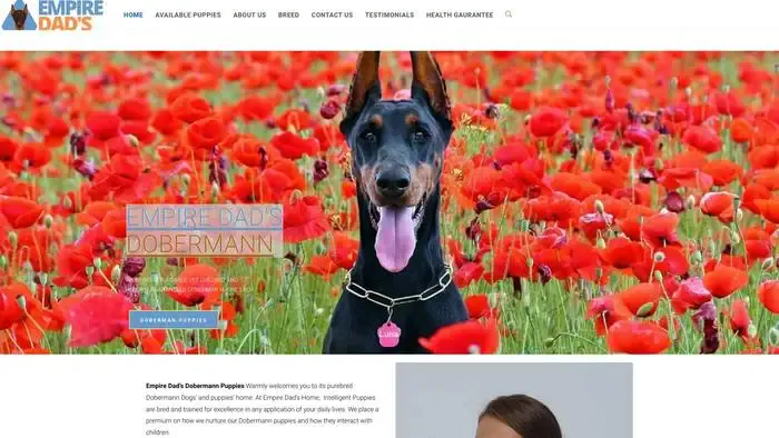 Screenshot of
