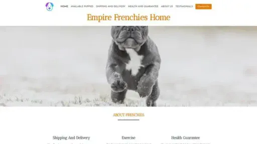 Screenshot of