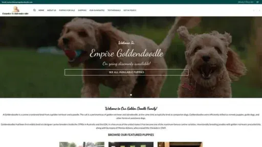 Screenshot of