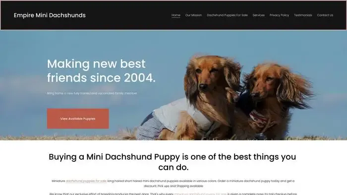 Screenshot of