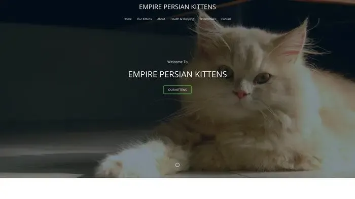 Screenshot of